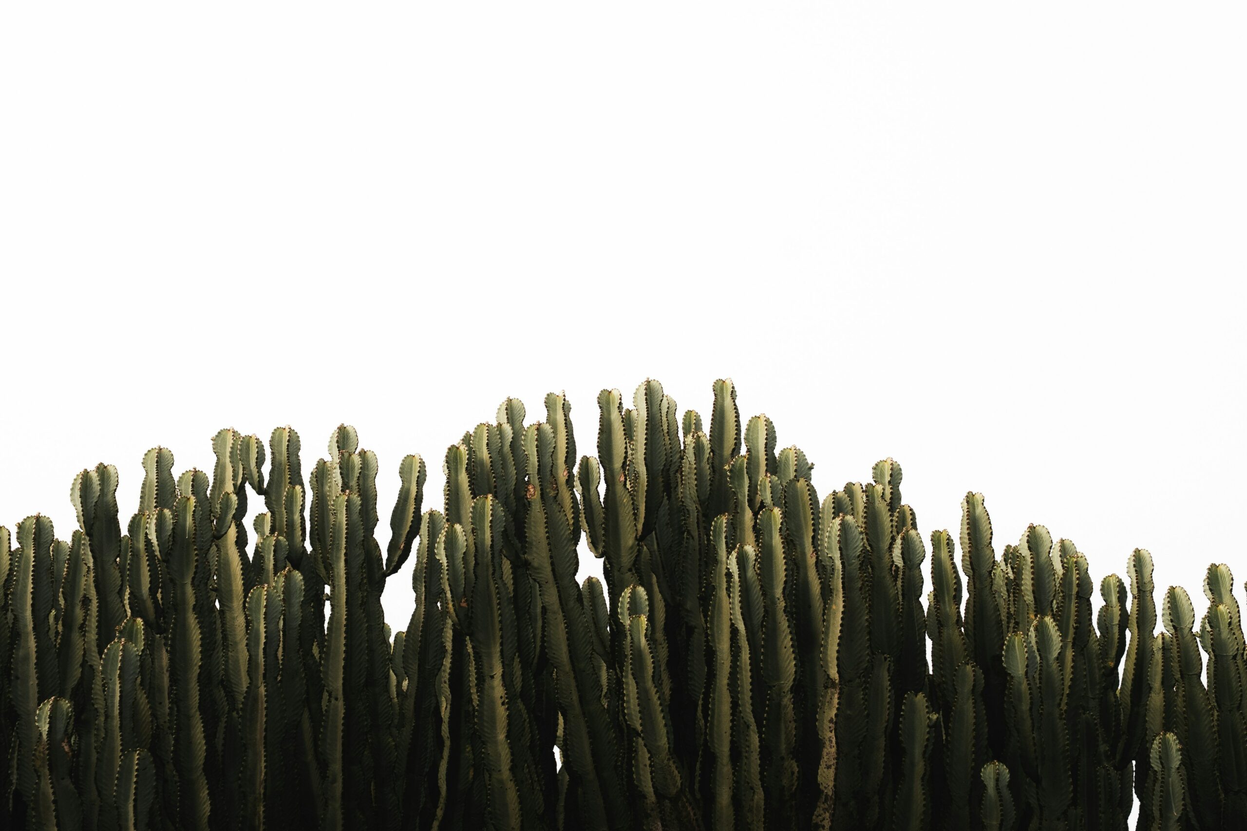 Test Event – August 2025